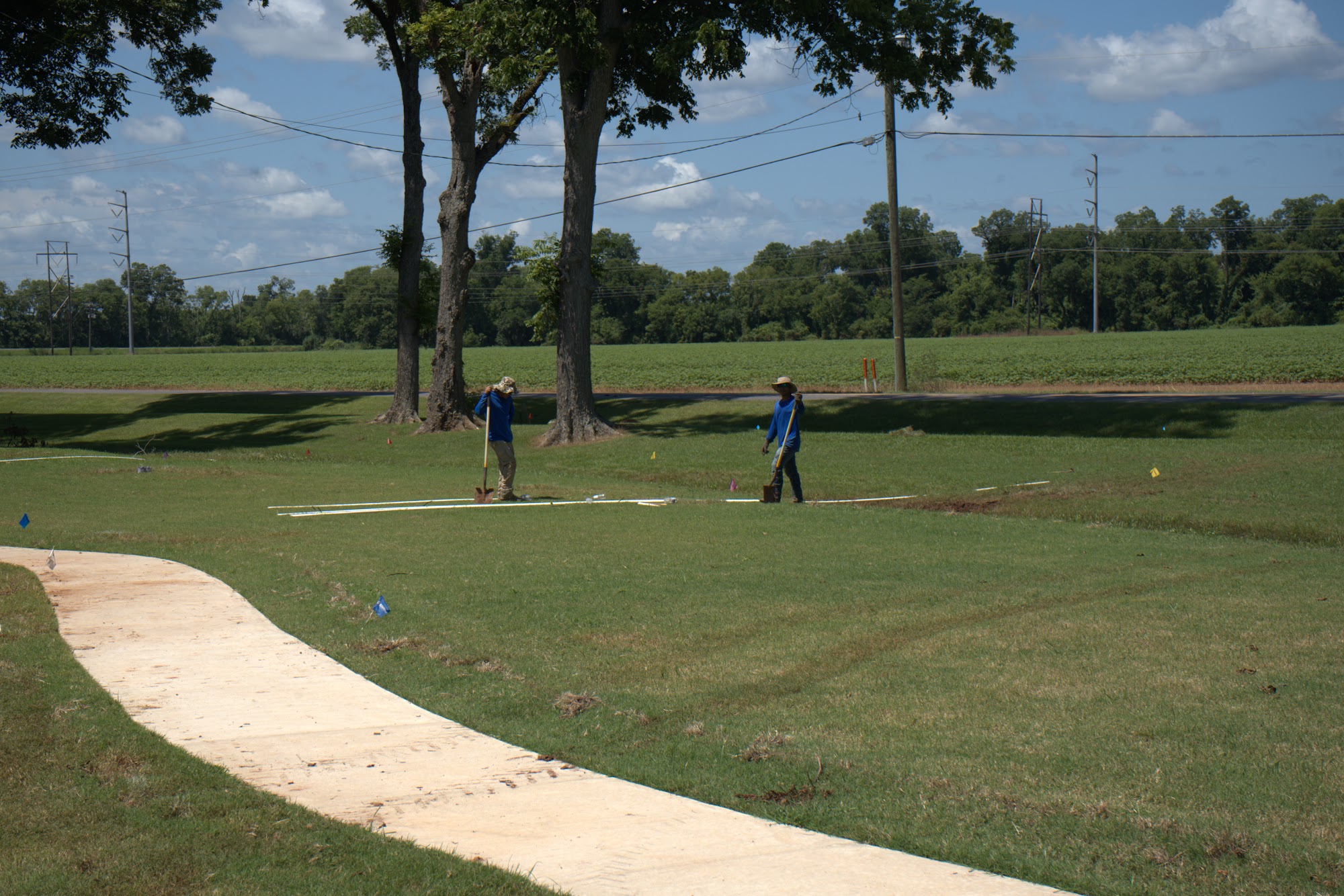 Sprinkler head running during an irrigation system test
