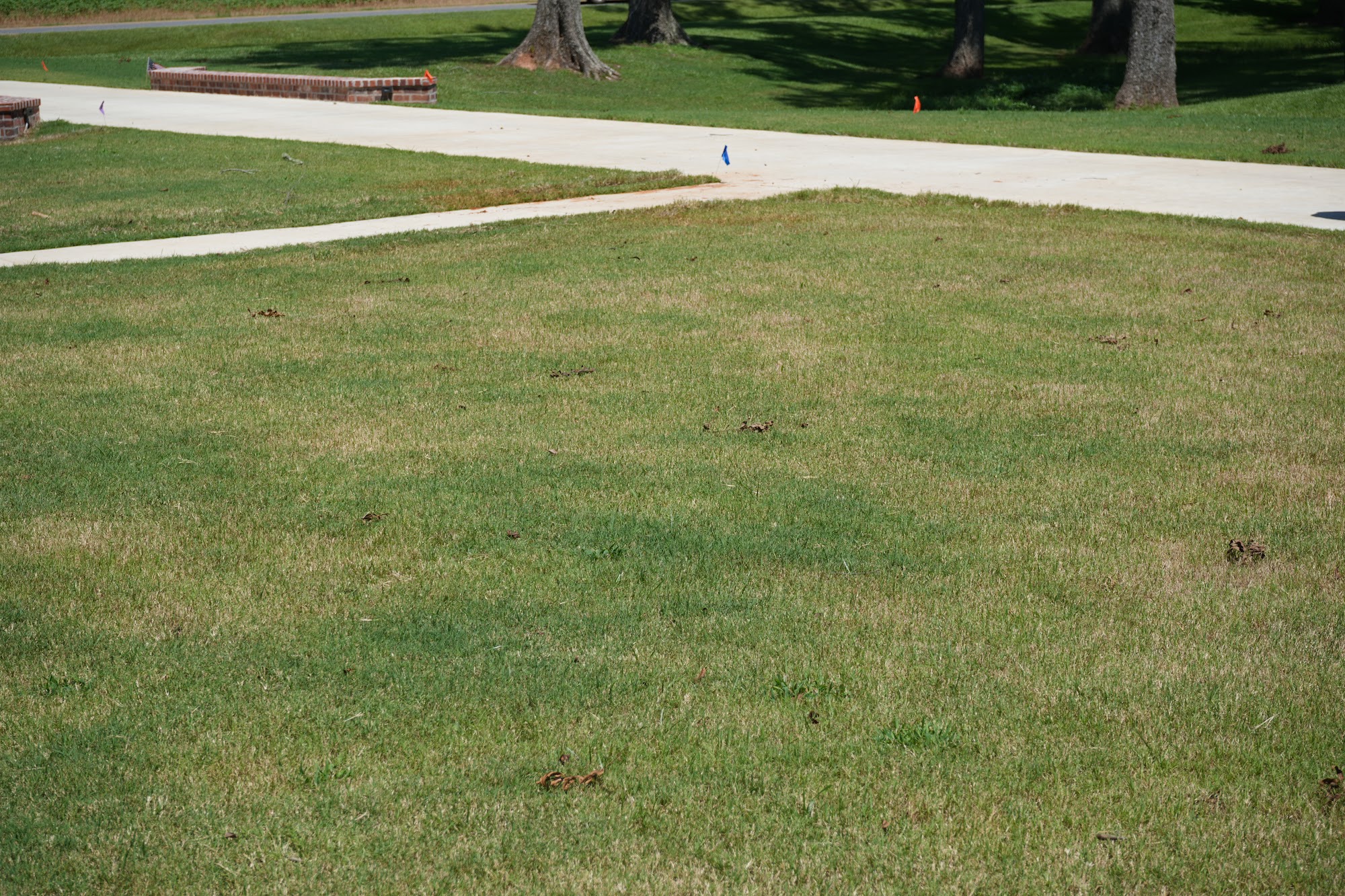 All Star Sprinkler Systems crew marking an irrigation layout
