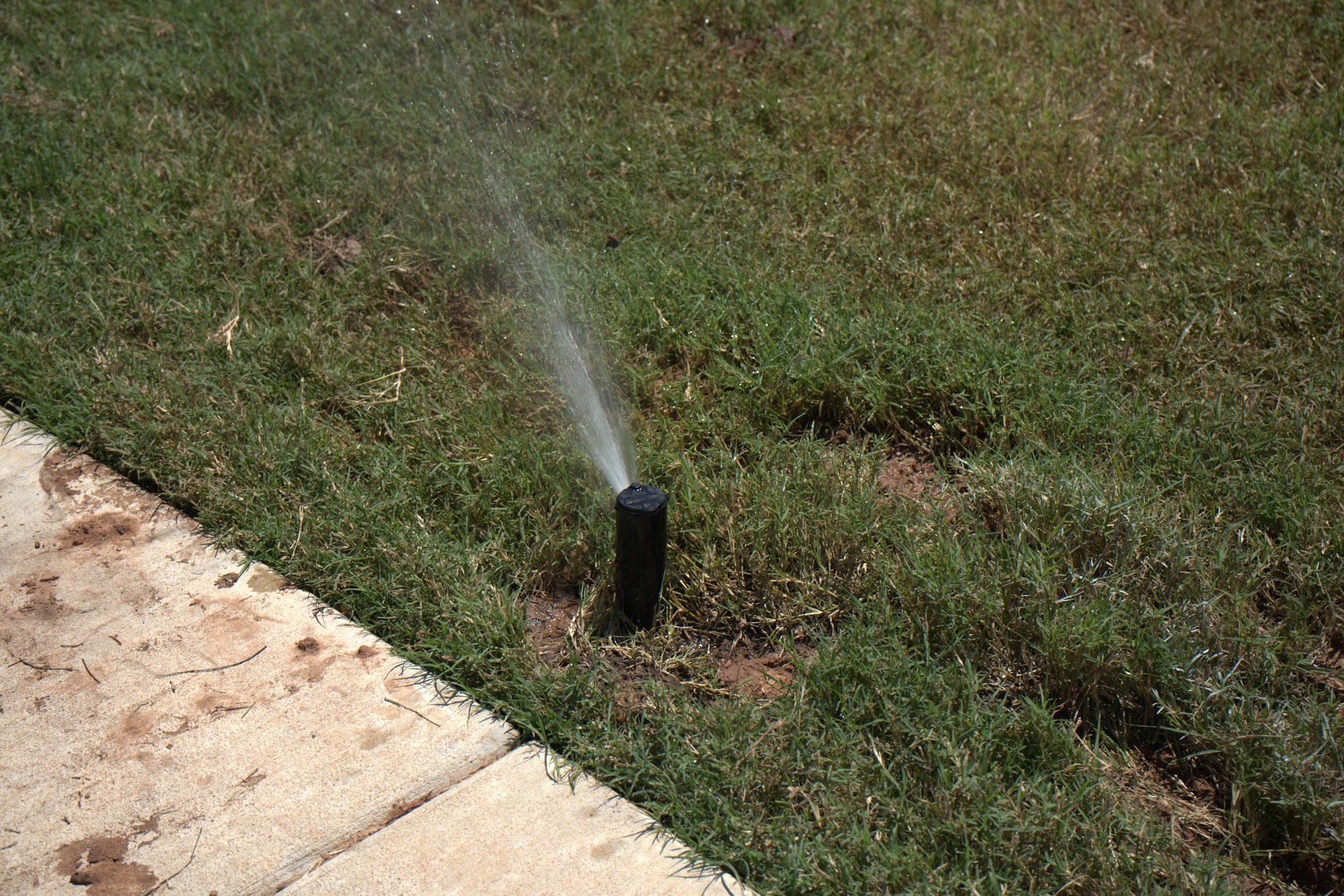 Sprinkler head running during an irrigation system test