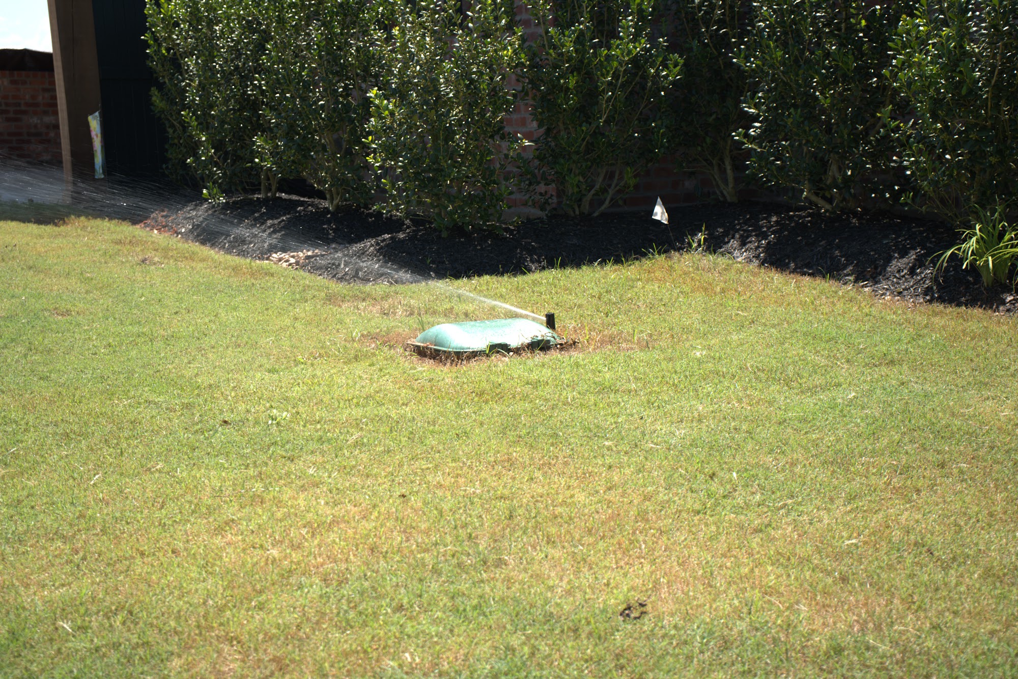 Sprinkler head running during an irrigation system test