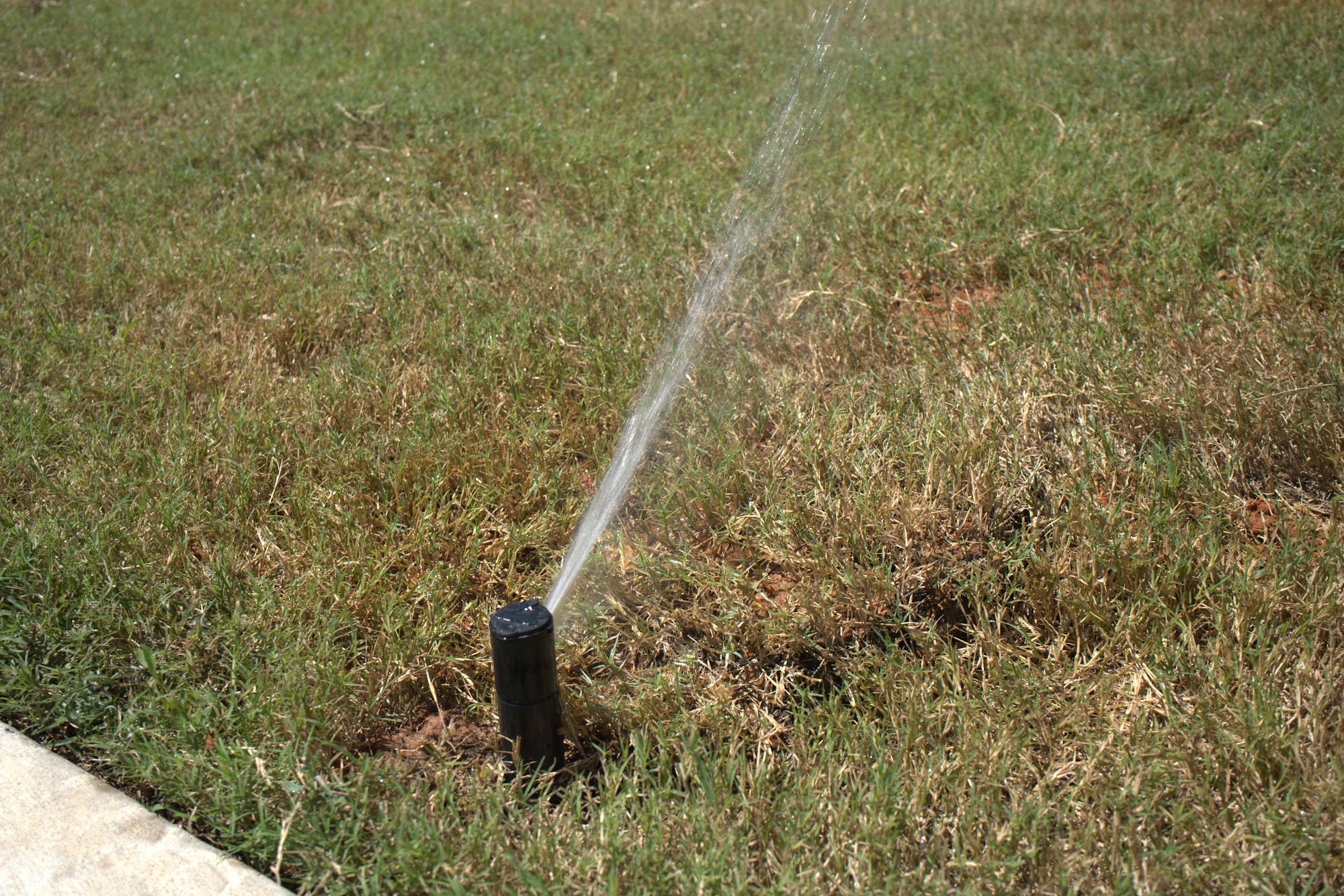 All Star Sprinkler Systems crew marking an irrigation layout