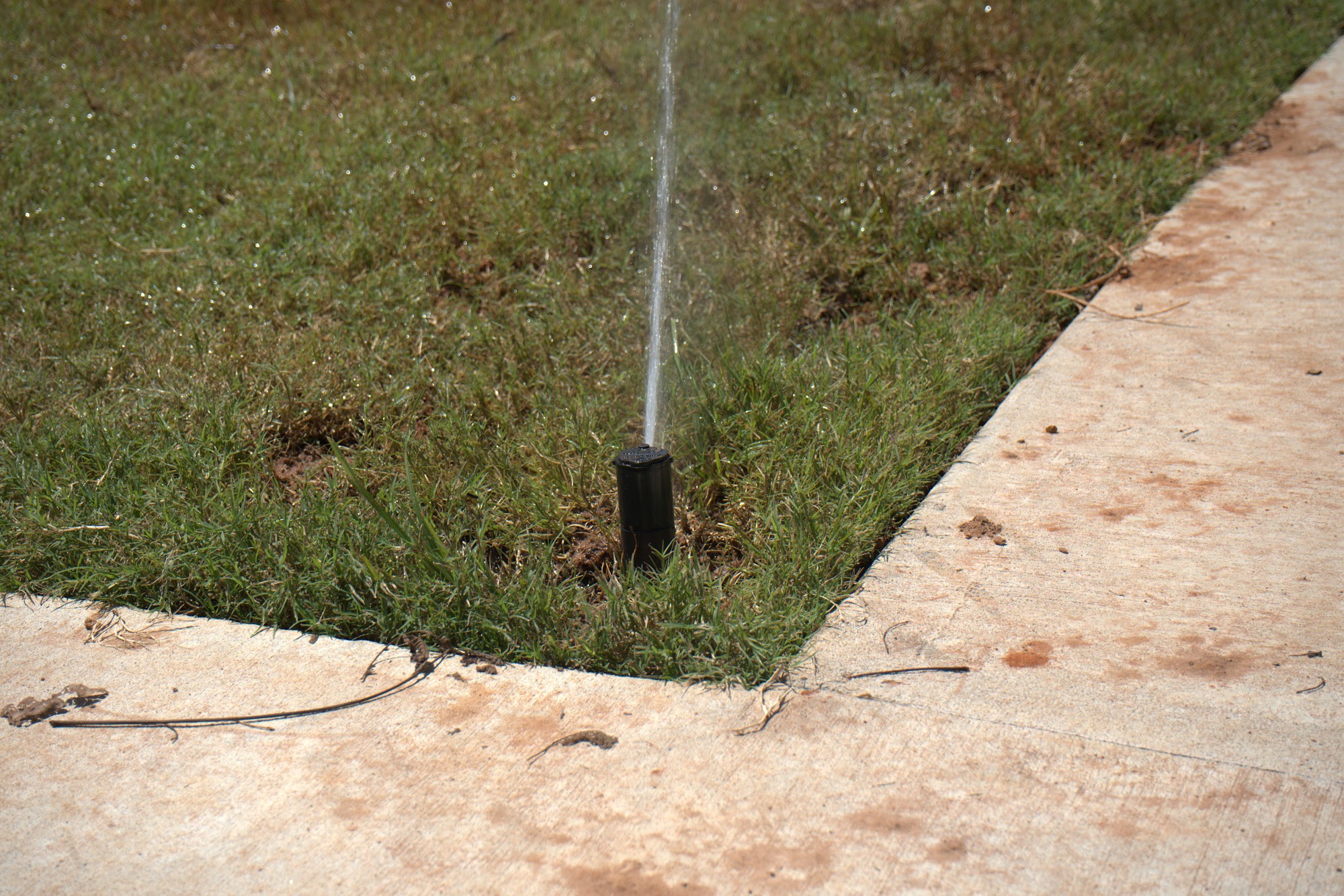 All Star Sprinkler Systems crew marking an irrigation layout