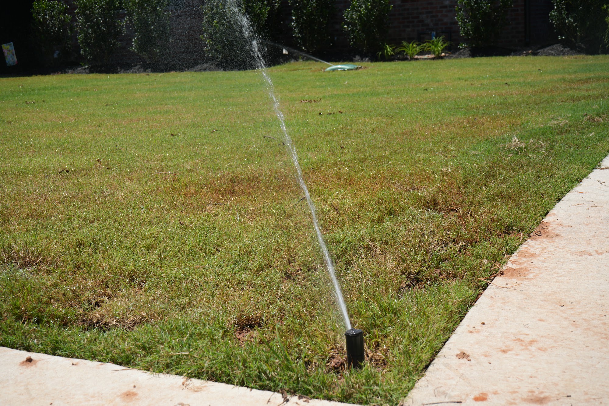 Sprinkler head running during an irrigation system test